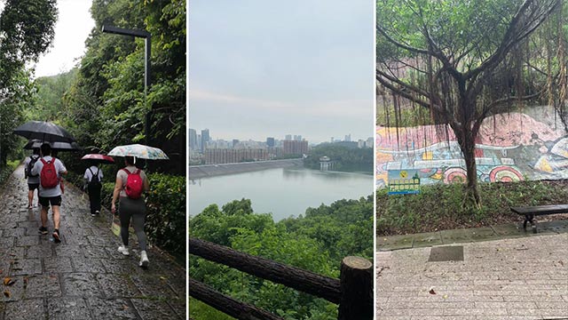 1742378623567029.jpg IMG_20250319_180046(1).jpg